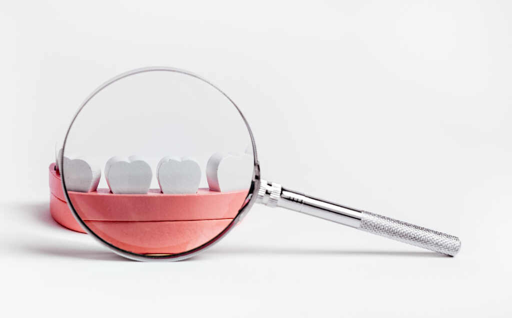 歯の模型と虫眼鏡で歯科チェックのイメージ画像